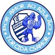 TORCIDA CSAMOR