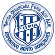 TORCIDA ORGANIZADA FÚRIA ALVI AZUL