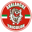 TORCIDA AVALANCHE TRICOLOR