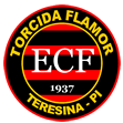 TORCIDA FLAMOR