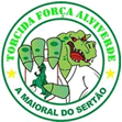 TORCIDA FORÇA ALVIVERDE