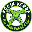 TORCIDA FÚRIA VERDE