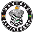 TORCIDA GAVIÕES ALVINEGROS