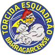TORCIDA ESQUADRÃO BARRAGARCENSE