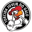 TORCIDA JOVEM DO GALO
