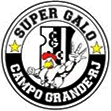 TORCIDA SUPER GALO